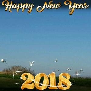 Meet your Posher, Tammy greg